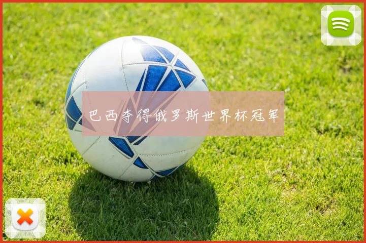 巴西夺得俄罗斯世界杯冠军