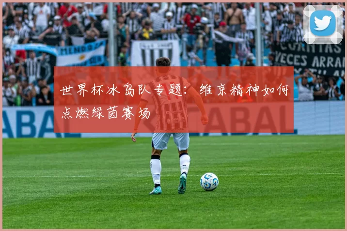世界杯冰岛队专题:维京精神如何点燃绿茵赛场