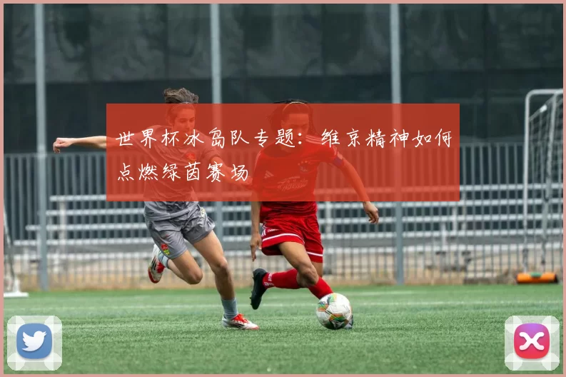 世界杯冰岛队专题：维京精神如何点燃绿茵赛场