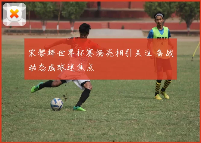 宋黎辉世界杯赛场亮相引关注 备战动态成球迷焦点