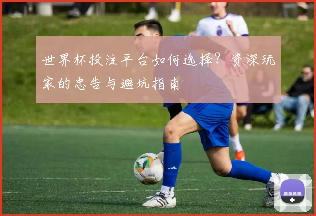 世界杯投注平台如何选择?资深玩家的忠告与避坑指南