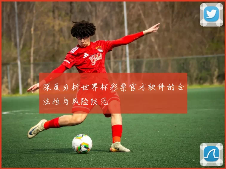 深度分析世界杯彩票官方软件的合法性与风险防范