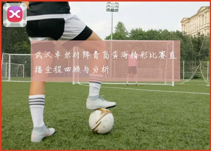武汉卓尔对阵青岛黄海精彩比赛直播全程回顾与分析