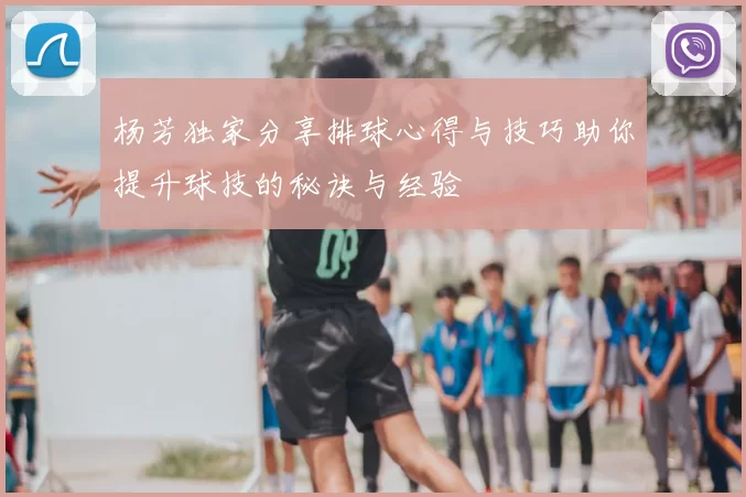 杨芳独家分享排球心得与技巧助你提升球技的秘诀与经验