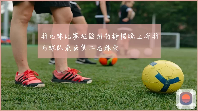 羽毛球比赛经验排行榜揭晓上海羽毛球队荣获第二名殊荣