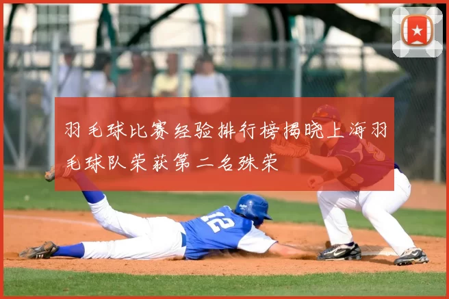 羽毛球比赛经验排行榜揭晓上海羽毛球队荣获第二名殊荣