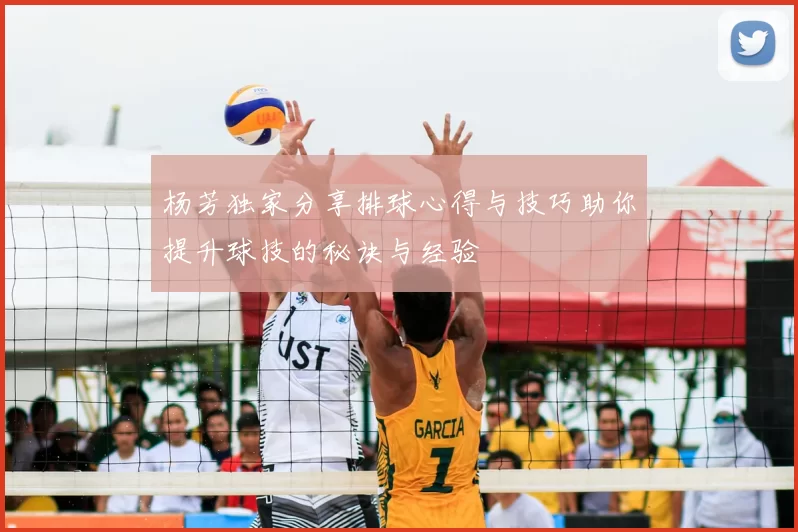 杨芳独家分享排球心得与技巧助你提升球技的秘诀与经验